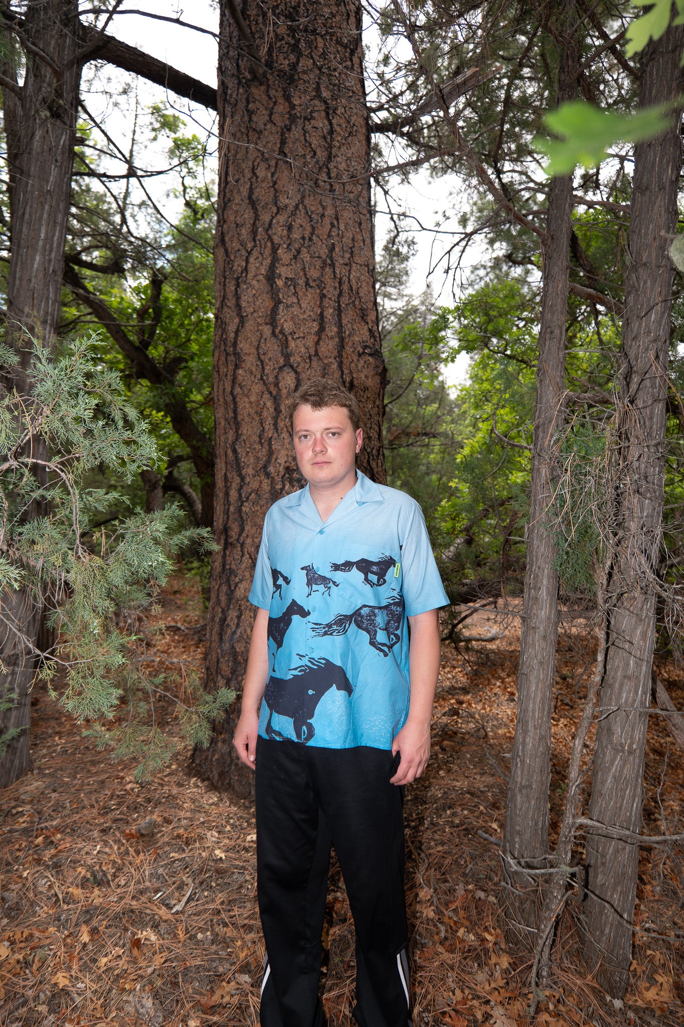 Wild Horses Short Sleeve button down + matching print + 10 year warranty