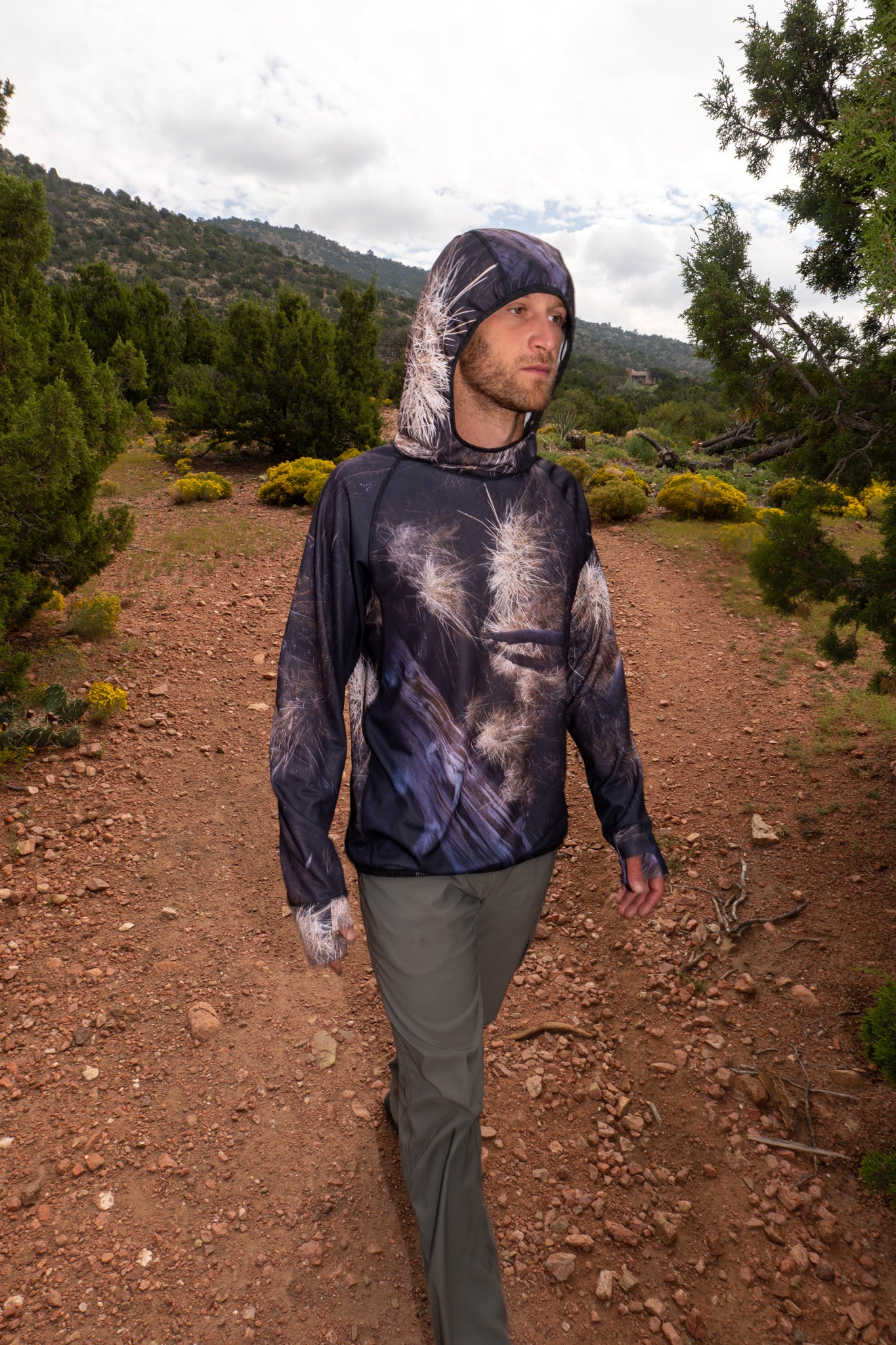 Brush Sun Hoodie + matching print + 10 year warranty