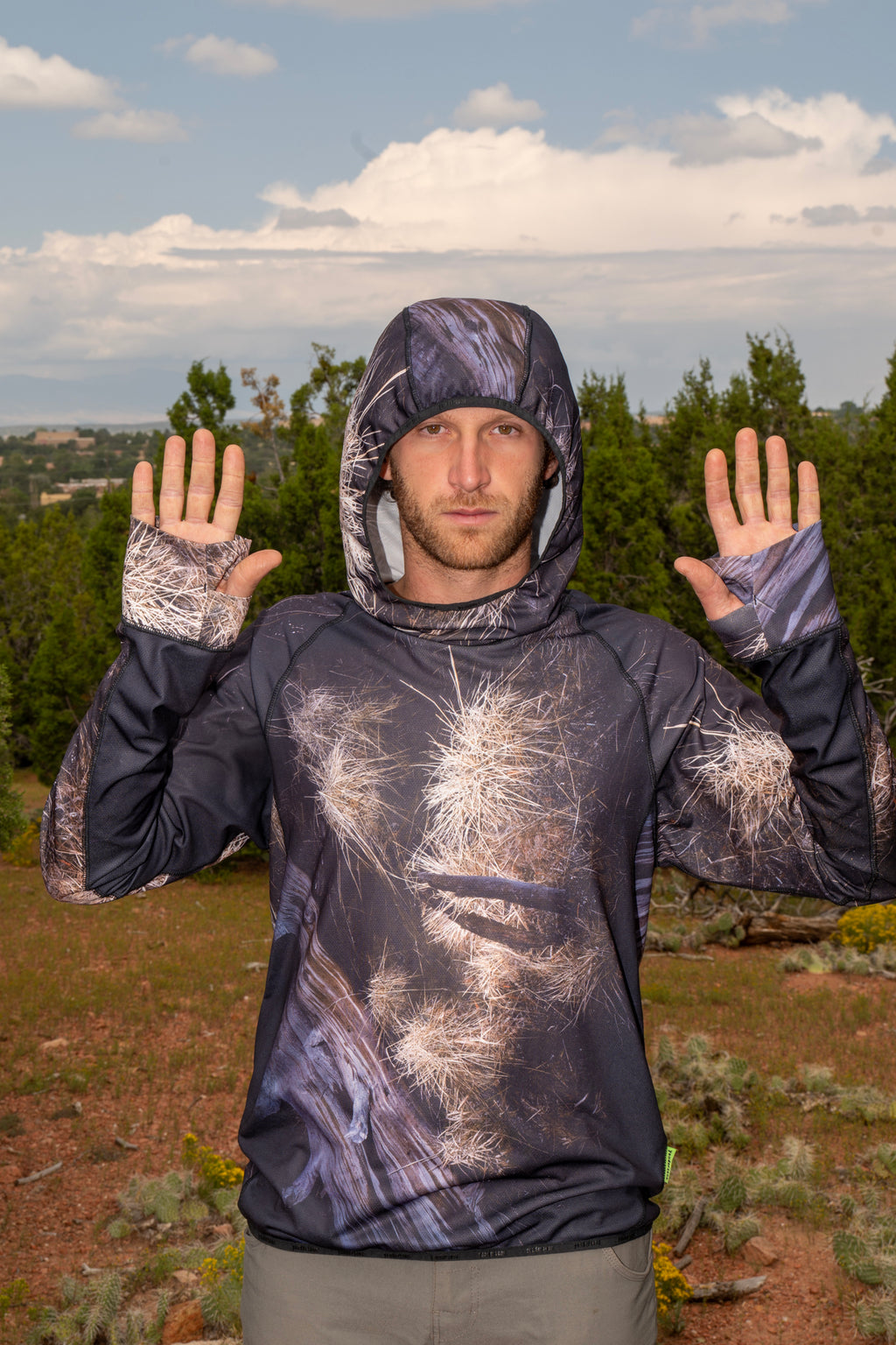 Brush Sun Hoodie + matching print + 10 year warranty