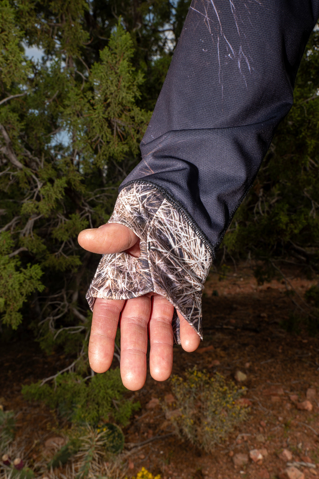 Brush Sun Hoodie + matching print + 10 year warranty