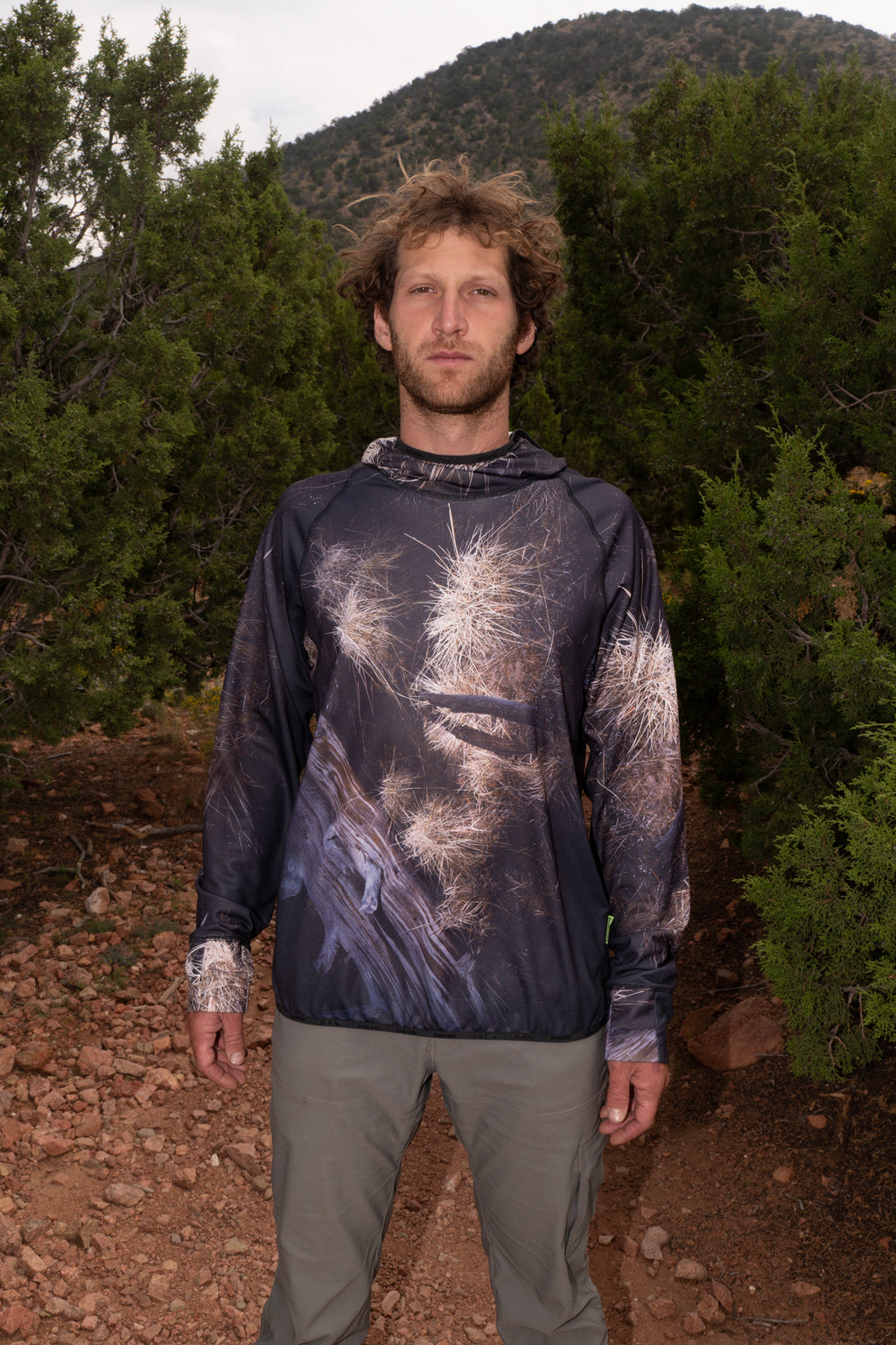 Brush Sun Hoodie + matching print + 10 year warranty