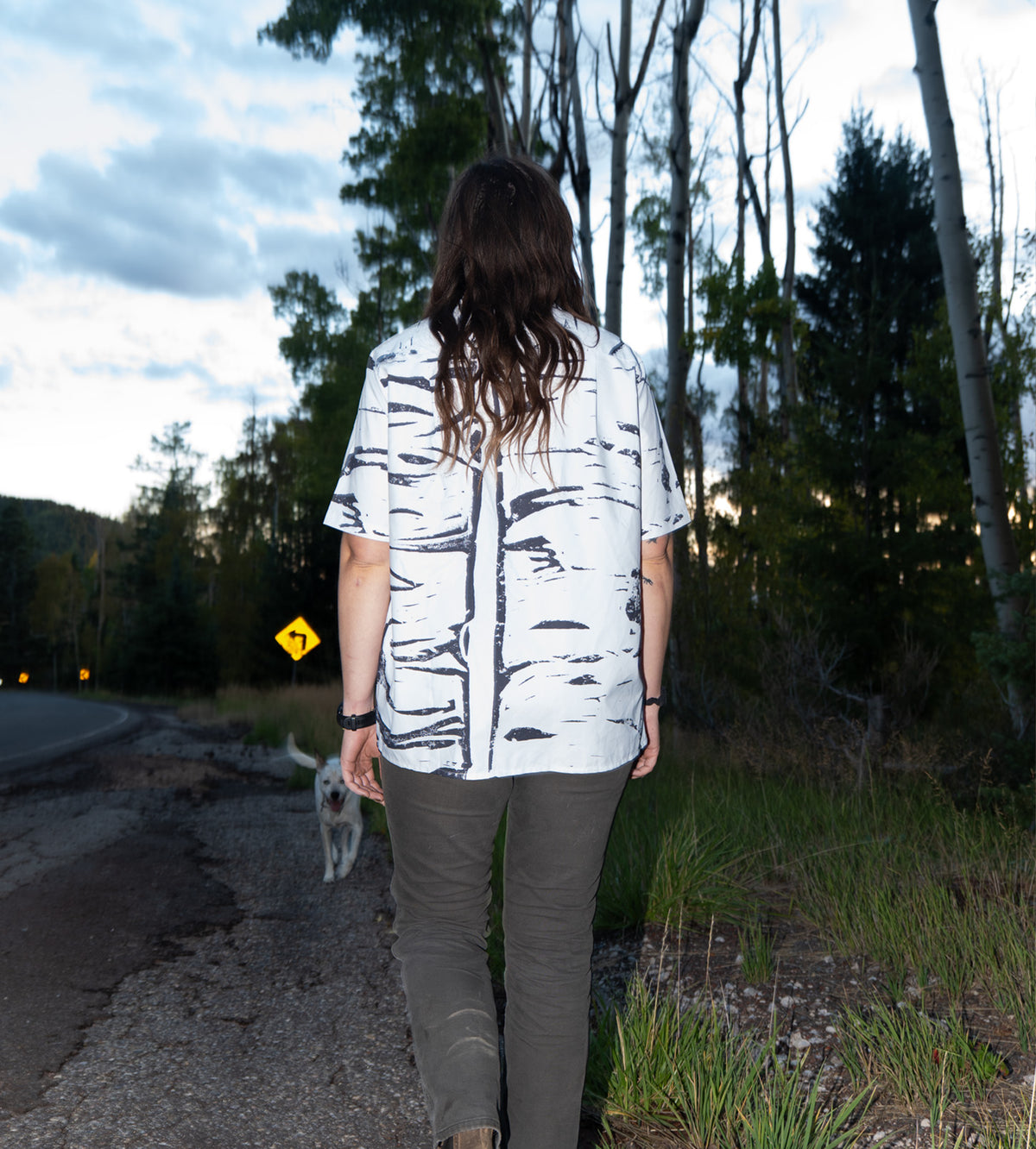Aspen Short Sleeve button down + 10 year warranty