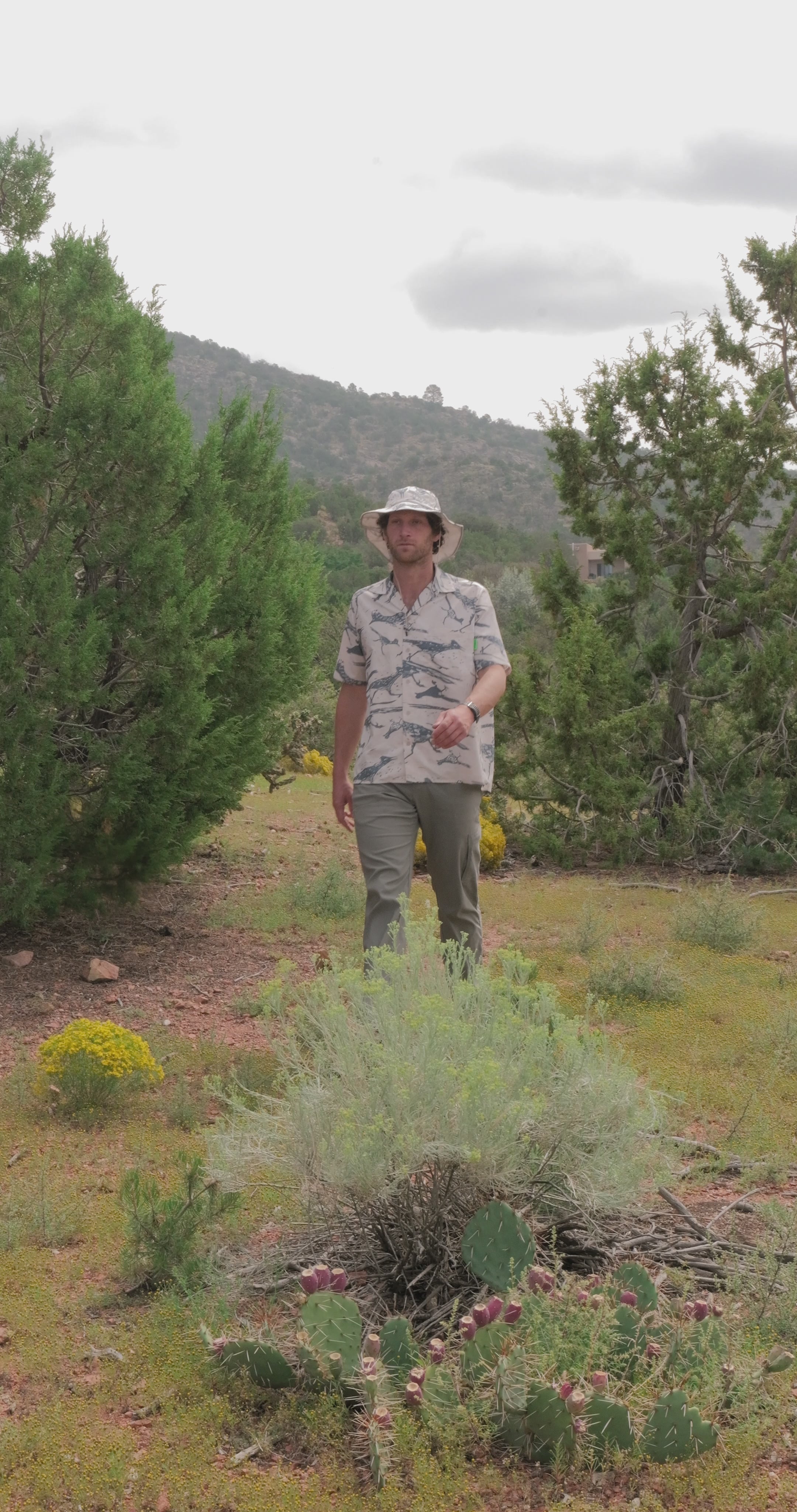 Roadrunner Short Sleeve button down + matching print + 10 year warranty